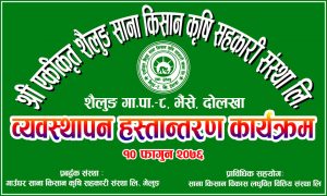 87485470_1599037350235714_7278887840551796736_n