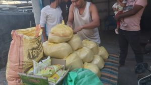 92023898_910396319411802_7122213188849893376_n