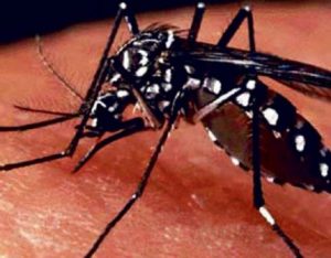 lamkhute-810x482-430x336