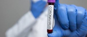 158686524644488339219-corona