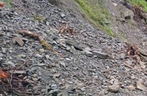 दाउन्नेमा पहिरो खसेपछि बुटवल–नारायणगढ राजमार्ग अवरुद्ध भएको छ