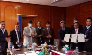 road_light_agreement_3Tzzz5qdQB