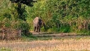 1617436915maxresdefault