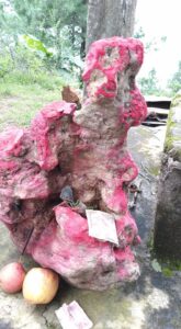 223899181_3068999610042521_2807528160382519836_n