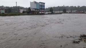 241502302_1505101276511907_6239716939292133631_n