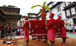 IMG_20241010_100057