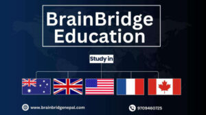 BrainBridge Education